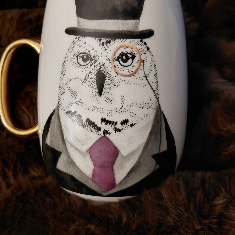 Vtg Pier 1 Wise Owl Mug 22 Oz.